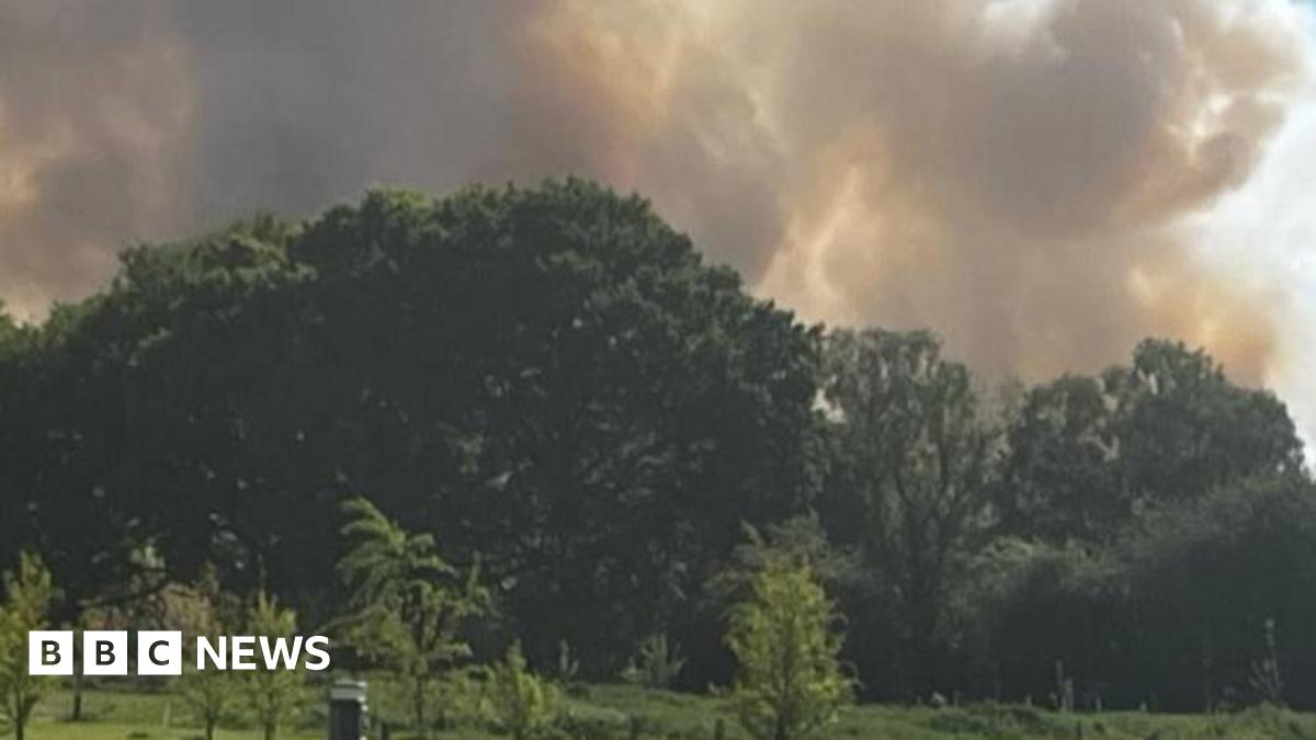 Firefighters tackle blaze at Strensall Common nature reserve