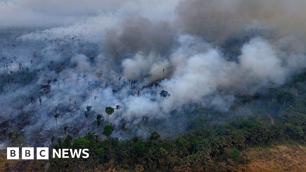 Fires cause record loss of tropical forests in climate threat